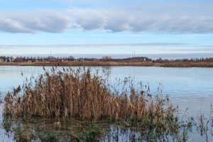 PXL_20231127_113421720.PORTRAIT.ORIGINAL